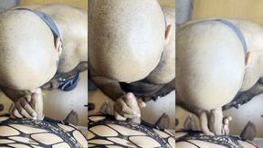 macho barbudo chupando pau de travesti