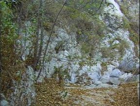 Sexy blonde big cock sucking double penetrated threesome ass fucking