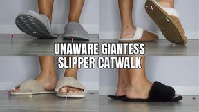 Unaware giantess slipper catwalk - OnlyVanessa