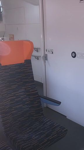 Very Risky Sex on a Train with a Beautiful Woman