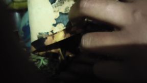 My stepmother was fucked quietly at night