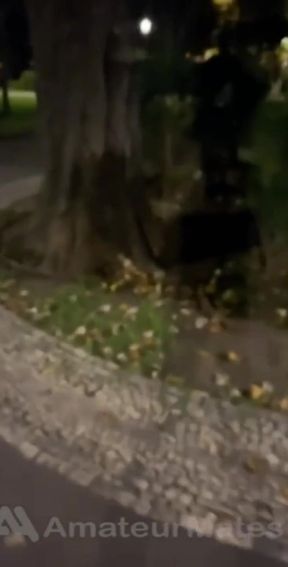 Amateur Boy Caught Peeing in a Park and Given a Handjob