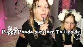 Puppy Panda puts tail inside