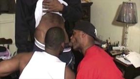 sandy stirs up the honeypot!