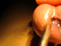 Urethral sounding and stretching with cumshot