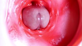 A big red cock inside a juicy hole can give sperm at any moment!