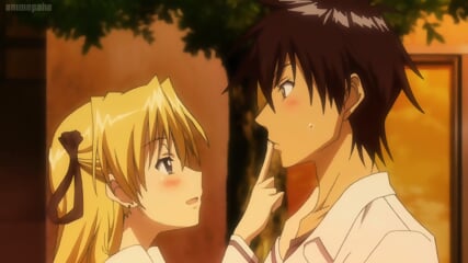Campione Anime Kissing Compilation