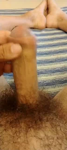 Continue ? Cum IES o NO ?