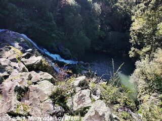 Whangarei Vlog: Waterfall Adventures, Flashing, Screwing & A Massive Creampie
