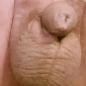 Small Dick Leaking Precum And Fingering My Own Ass