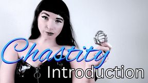 Chastity Introduction