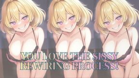 MP4 VERSION YOU LOVE THE SISSY DIAPER REWIRING PROCESS