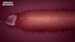 LITTLE MAC BEST FIGHT