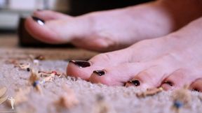 Remedy Shrunken Ex Boyfriends Serve or be Swallowed - Part 1