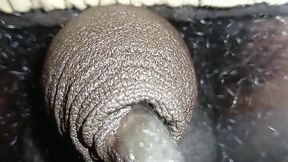 Roji Cd ko sissy chhoti Kala land dikha diya aaj mujhe bathroom mein desi cd ladyboy