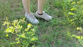 little tree stomping