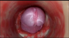 Compilation Creampie Part 7 POV