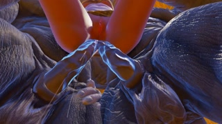 Фурри монстры отымели мою жену, двойной анал и двойное проникновение