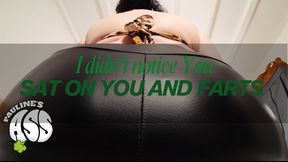 sat on You and fart mp4