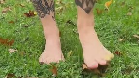 Playing with pumpkins