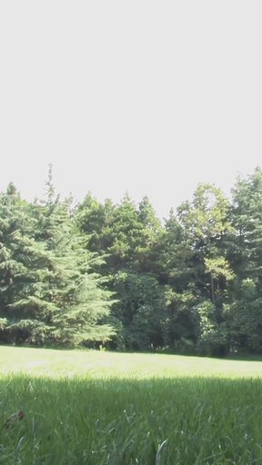 Teaching Golf to Asian Babe Along with Other Nasty Stuff