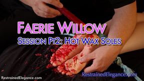 Faerie Willow's Bastinado Session Part Two: Hot Wax (VID0813B, 4K MP4)