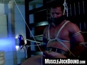 Pain's firm balls punished in serious bondage session
