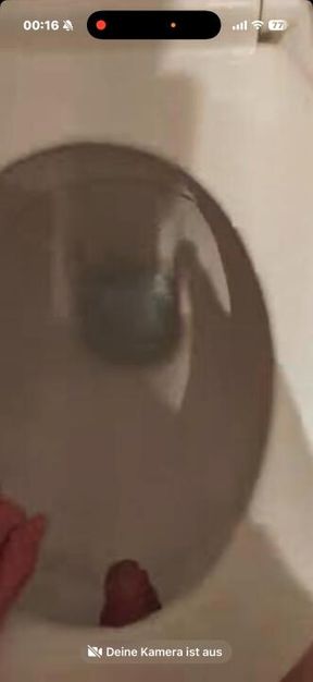 Sklave fickt die Toilette 😏🤭