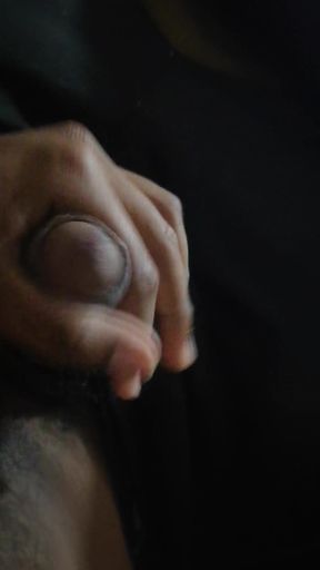 Wank at my aunt's house