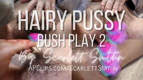 Hairy Pussy Bush Play 2