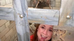 Sucking off the Prison Guard