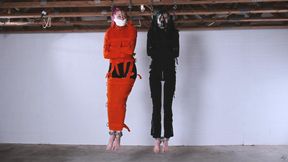 Larz and Daisy's Straitjacket Suspension