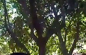 Active ts fucking a dude outdoors