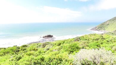 No Cameras… Just Chemistry