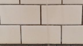 Two golden showers over mushrooms