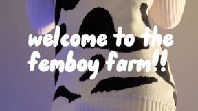 milking cow(bois) on the femboy farm!!