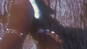 Oiled Toes & Chew Toys: Pet Play in the Sun