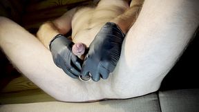 active dilation of the urethra of a white cock with a metal bougie.