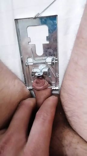 Torment micropenis mouse trap BDSM cbt sph