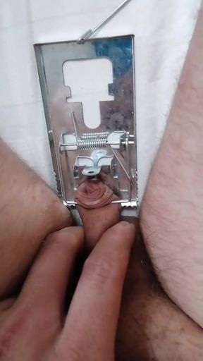 Torment micropenis mouse trap BDSM cbt sph