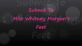 Submit To Miss Whitney Morgan's Feet - wmv