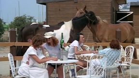 Echanges De Partenaires - 1976 (Restored)