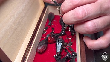 Dick with and fish hooks