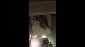 super hot and cute teenager traps life fuck and cum