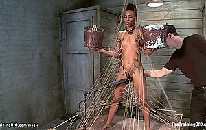 Master whip ebony during training