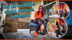 LOCKTOBER DAY 12: EXPOSED, CAGED & PLUGGED