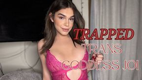 trapped trans goddess JOI