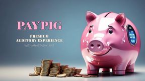 PayPig MP3