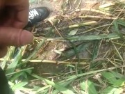 Orinando en el campo
