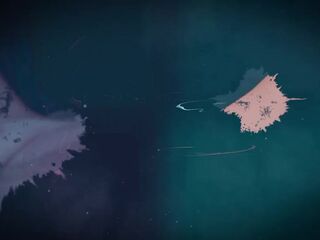 Final Day in Stella Mae Film Trailer